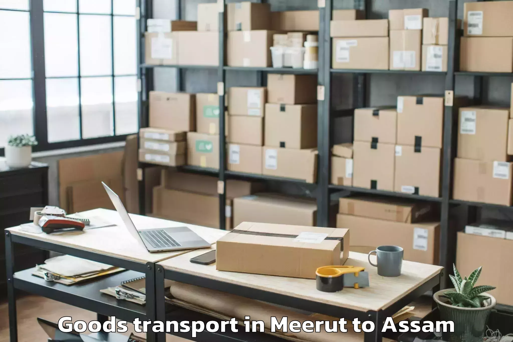 Professional Meerut to Mirza Kamrup Goods Transport